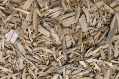 biomass boilers Bancyfelin